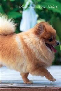Pomeranian August Notebook Pomeranian Record, Log, Diary, Special Memories, To Do List, Academic Notepad, Scrapbook & More