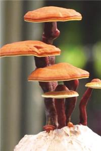 Ganoderma Lucidum Mushroom Journal: 150 Page Lined Notebook/Diary