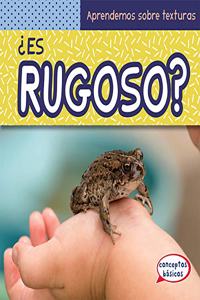 ¿Es Rugoso? (What Is Bumpy?)
