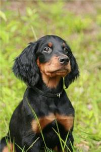 Gordon Setter Dog Portrait Journal: 150 Page Lined Notebook/Diary