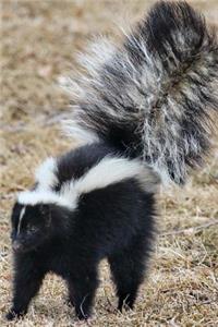 Wild Black and White Skunk Animal Journal