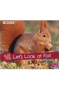Let's Look at Fall