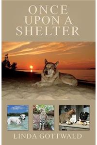 Once Upon a Shelter