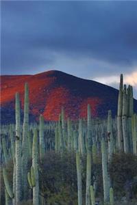 Desert Vista Cactus Journal