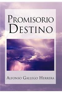 Promisorio Destino