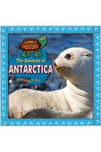 The Animals of Antarctica