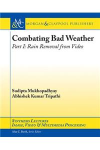 Combating Bad Weather Part I