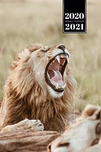 Lion Week Planner Weekly Organizer Calendar 2020 / 2021 - Wide Mouth
