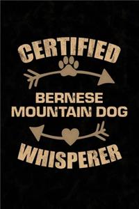 Certified Bernese Mountain Dog Whisperer