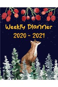 Weekly Planner 2020 - 2021