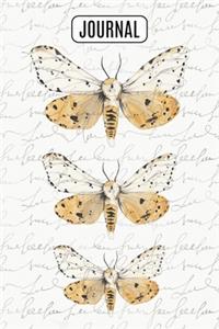 Lined Journal Notebook Watercolor Moths