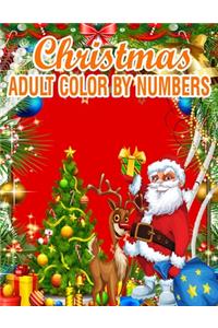Christmas Adult Color By Numbers