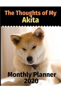 The Thoughts of My Akita