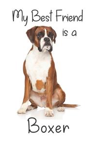 My best Friend is a Boxer