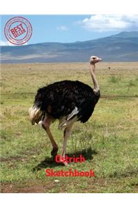 Ostrich Sketchbook