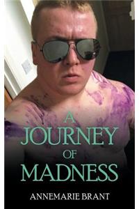 Journey of Madness