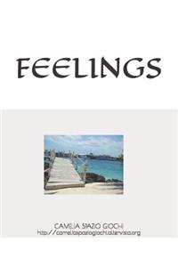 Feelings