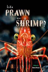 Is it a Prawn or a Shrimp?