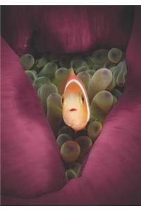 2019 Appointment Calendar