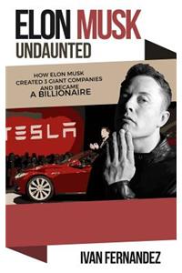 Elon Musk Undaunted
