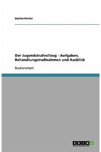 Der Jugendstrafvollzug - Aufgaben, Behandlungsmaßnahmen und Ausblick