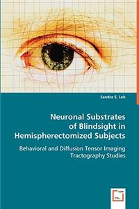 Neuronal Substrates of Blindsight in Hemispherectomized Subjects