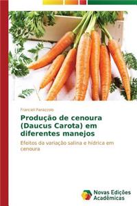 Produção de cenoura (Daucus Carota) em diferentes manejos