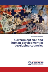 Government size and human development in developing countries
