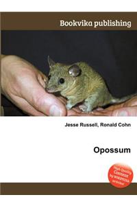 Opossum