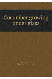 Cucumber Growing Under Glass