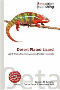 Desert Plated Lizard