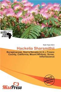 Hackelia Sharsmithii