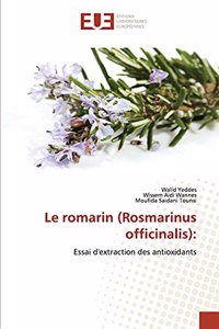 romarin (Rosmarinus officinalis)