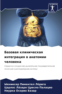Базовая клиническая интеграция в анатоми