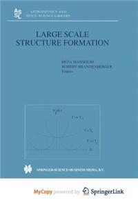 Large Scale Structure Formation