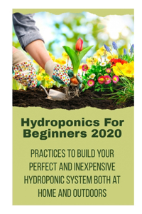 Hydroponics For Beginners 2020