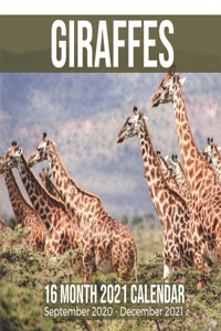 Giraffes 16 Month 2021 Calendar September 2020-December 2021