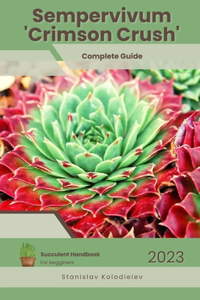Sempervivum 'Crimson Crush'