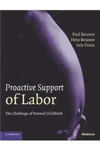 Proactive Support of Labor: The Challenge of Normal Childbirth