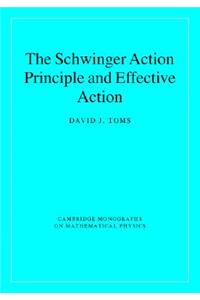 Schwinger Action Principle and Effective Action