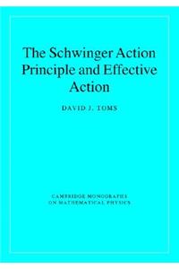 Schwinger Action Principle and Effective Action