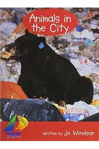 Animals in the City