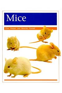 Pets: Mice