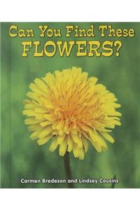 Can You Find These Flowers?