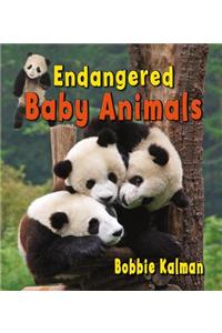 Endangered Baby Animals
