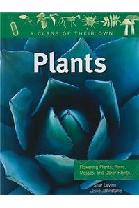Plants: Flowering Plants, Ferns, Mosses, and Other Plants