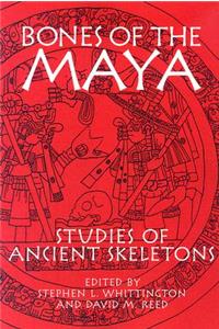 Bones of the Maya