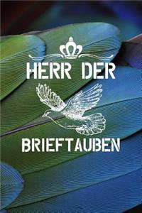 Herr der Brieftauben