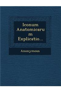 Iconum Anatomicarum Explicatio...