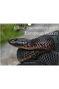 Close Encounters with European Snakes / UK-Version 2017